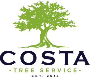 costa-treeservice-footer-logo