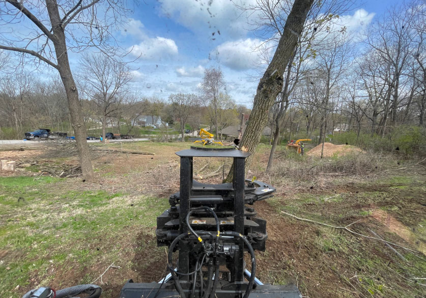 land-clearing-delafield