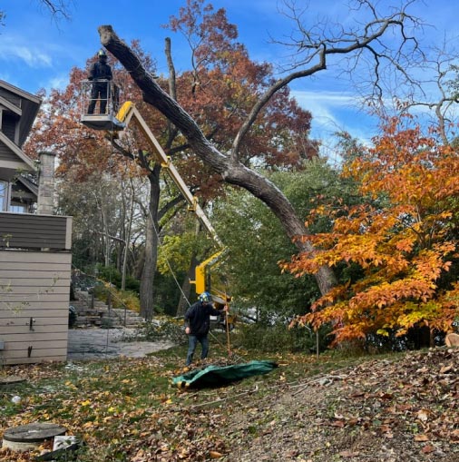 pewaukee-emergency-tree-removal